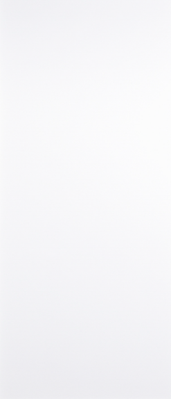 Flush White Primed  Doors